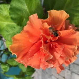 Meet your Posher, Craig